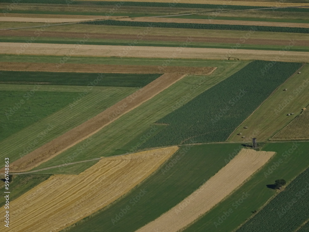 view of field