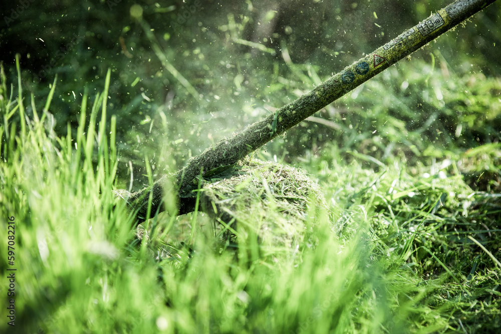 mowing the grass with a lawn mower, garden work concept background