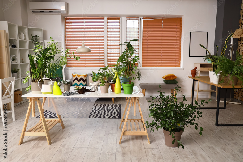 Interior of living room with green houseplants on table