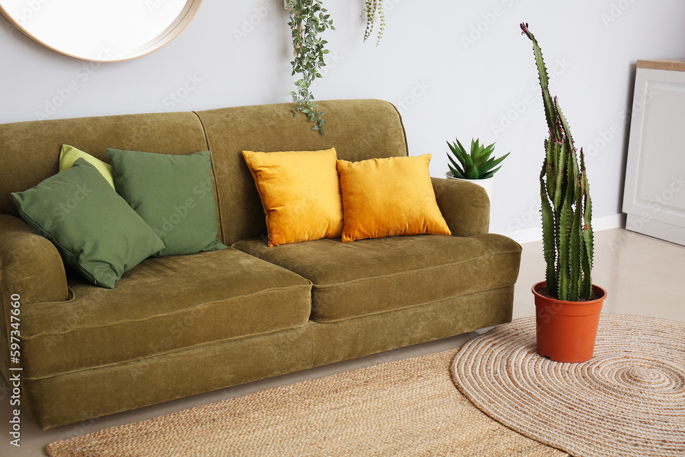 Interior of modern living room with cozy sofa, big cactus and houseplants