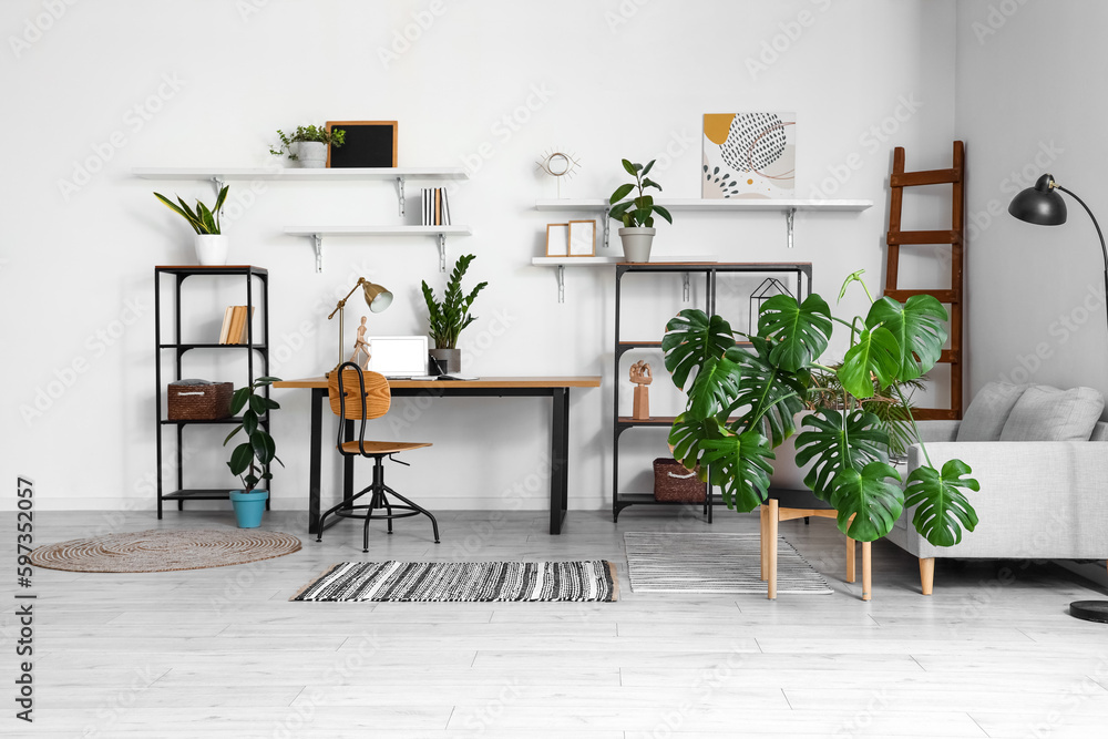 Interior of light office with workplace, shelves and Monstera houseplant