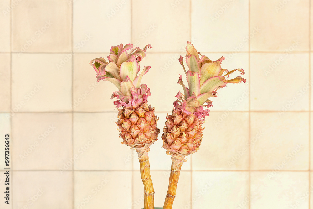 Vase with decorative pineapples near white tile wall