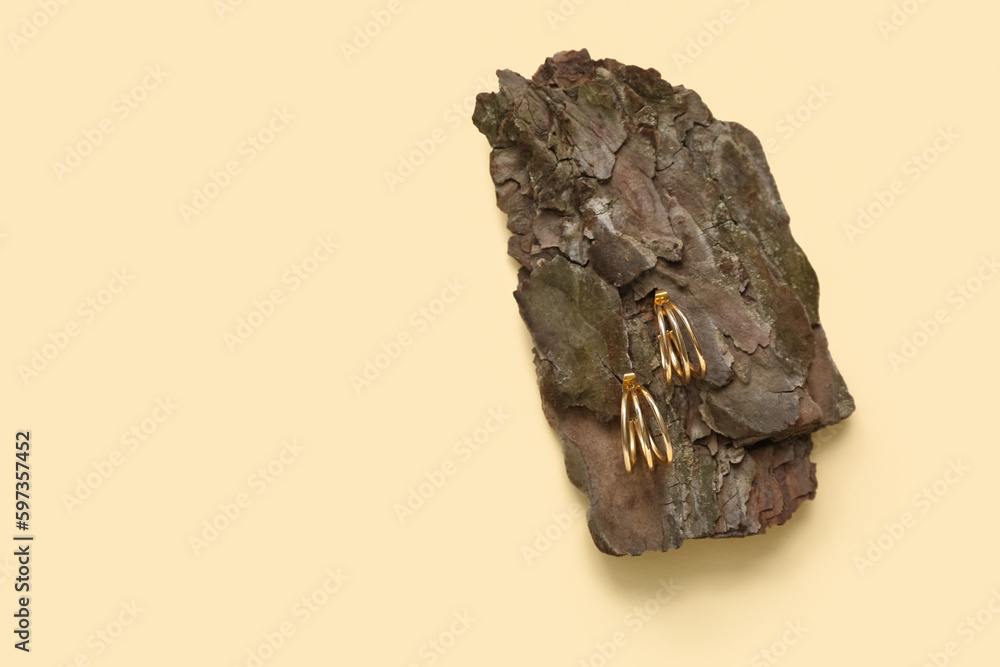 Tree bark with golden earrings on beige background