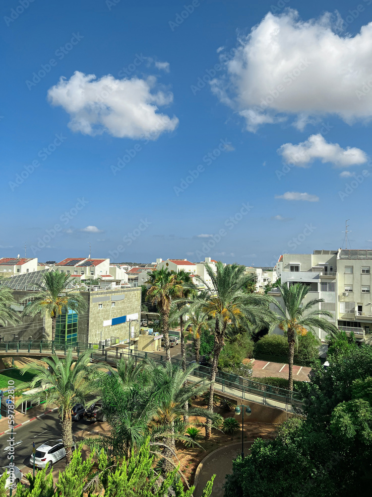 Beautiful view of city with palm trees