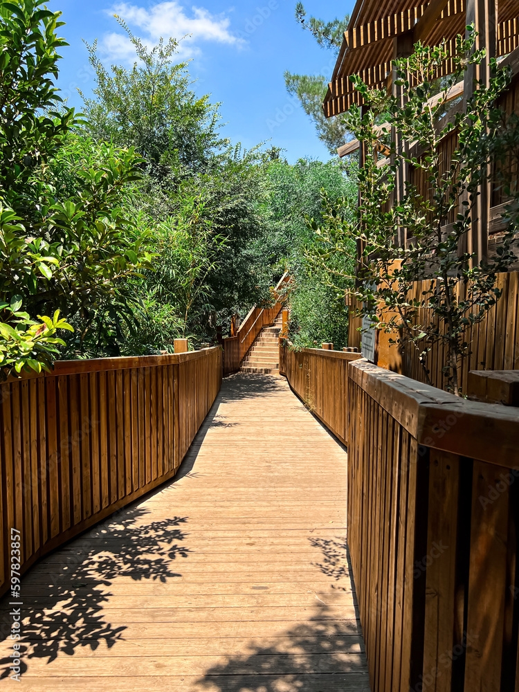 View of beautiful park with pathway