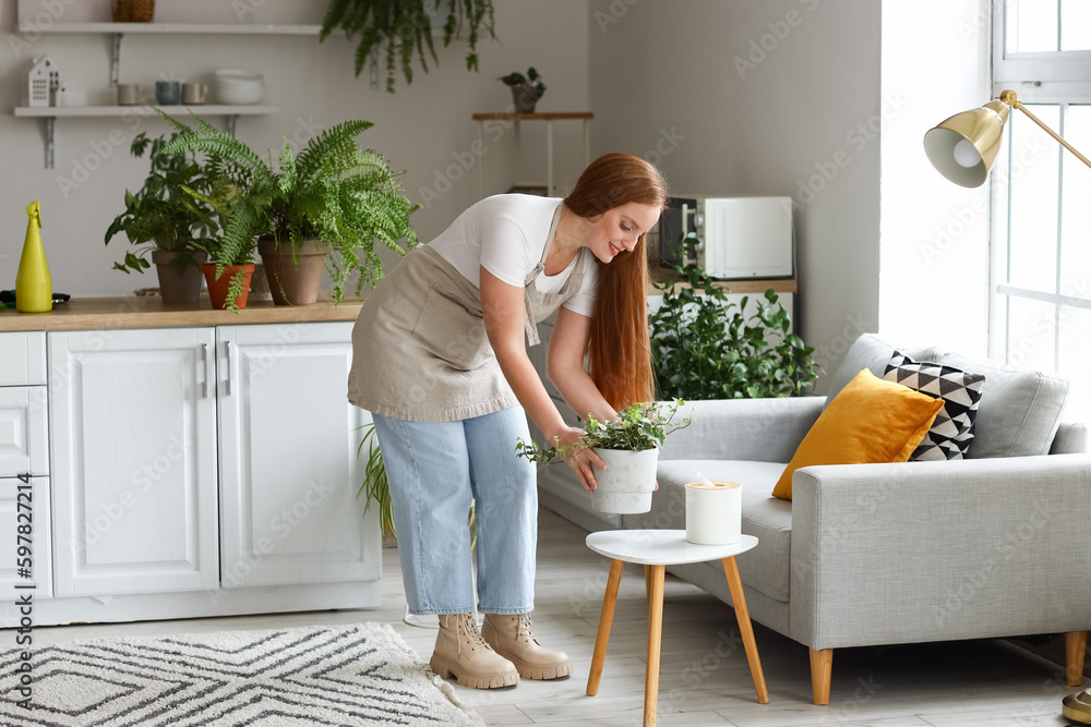 Young woman taking green houseplant from table in kitchen