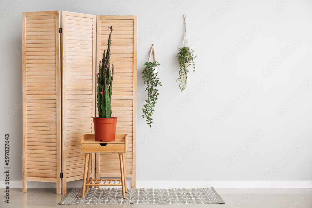 Big cactus on table, houseplants and folding screen near white wall