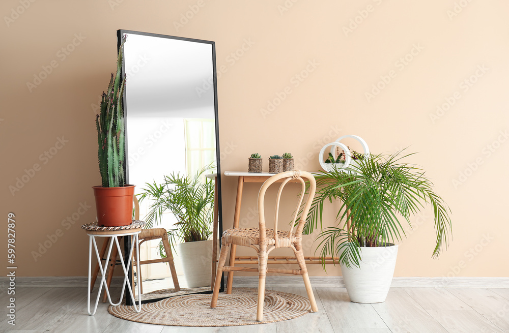 Interior of room with armchair, mirror, houseplants and big cactus