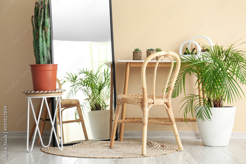 Interior of room with armchair, mirror, houseplants and big cactus