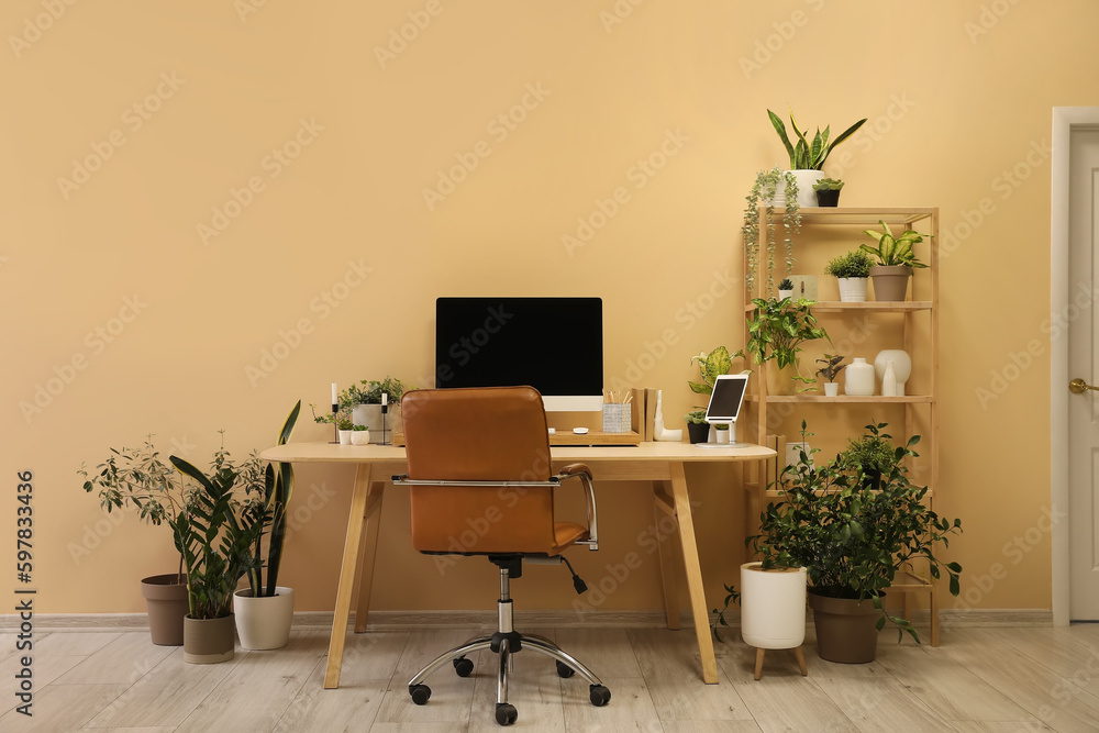 Interior of office with modern workplace, shelving unit and houseplants