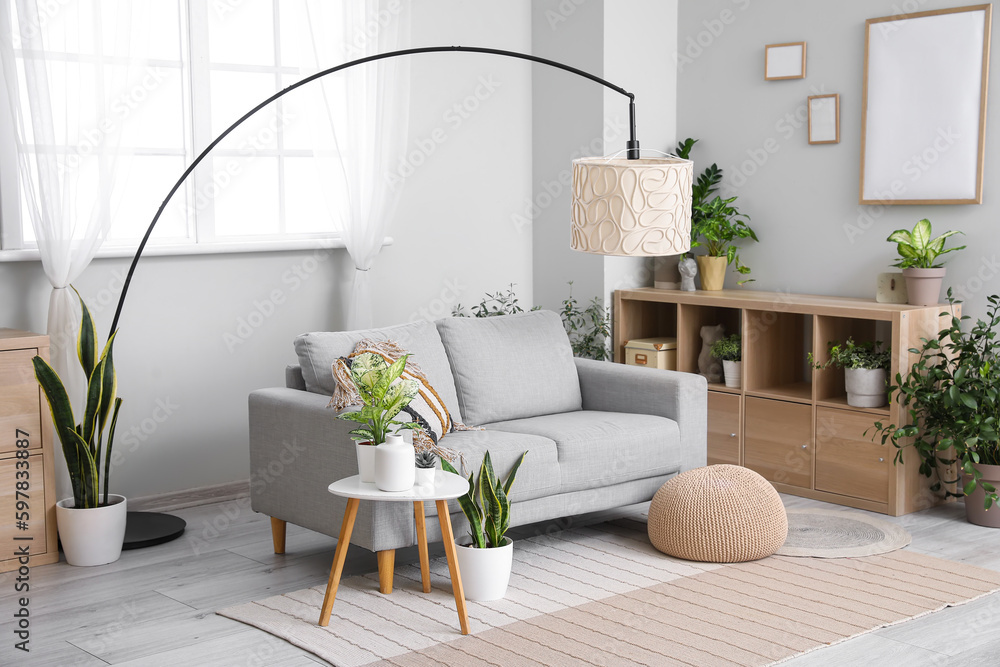 Interior of living room with sofa, lamp and houseplants