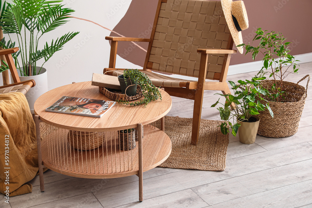 Coffee table with houseplant, magazine and book in stylish living room