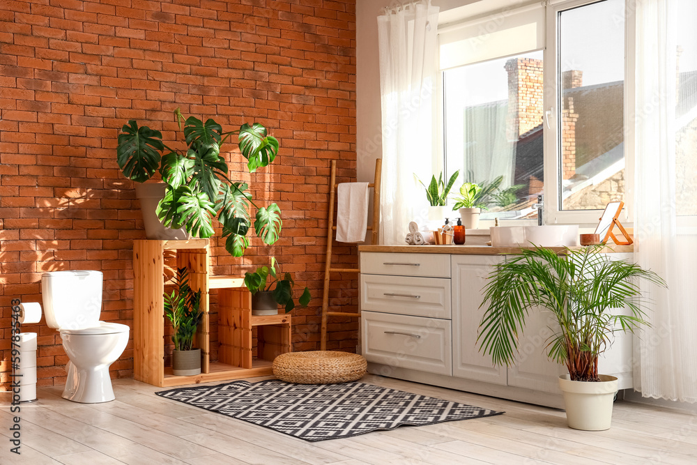 Interior of bathroom with toilet bowl, shelf and Monstera houseplant