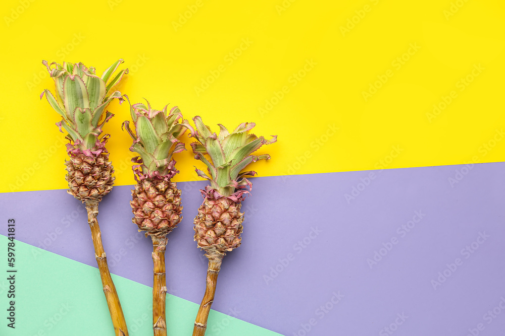 Decorative pineapples on color background