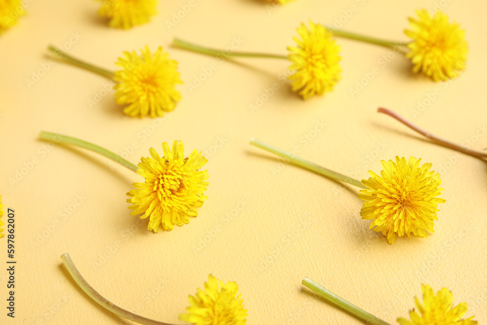 Bright fresh dandelions on yellow background