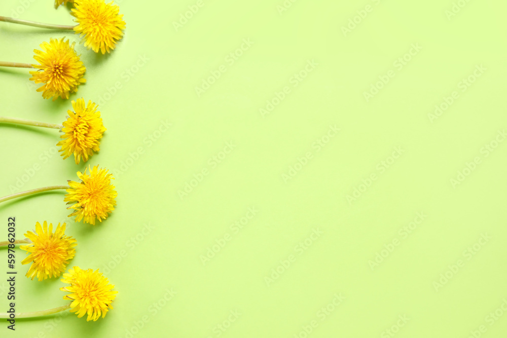 Bright dandelions on light green background