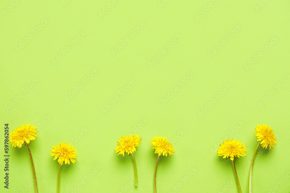 Bright dandelions on light green background