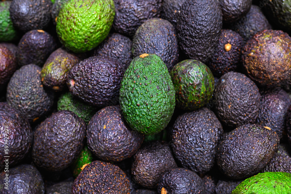 Fresh green and black has avocado fruit on a supermarket stall