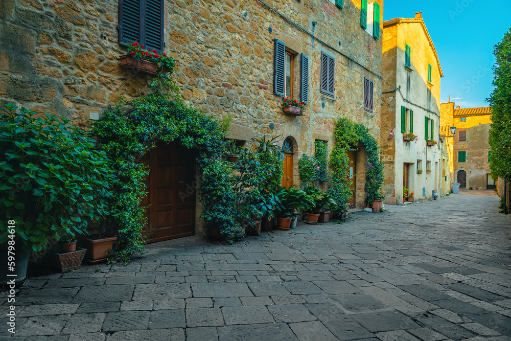 Jasmine and green plants on the stone houses in Tuscany