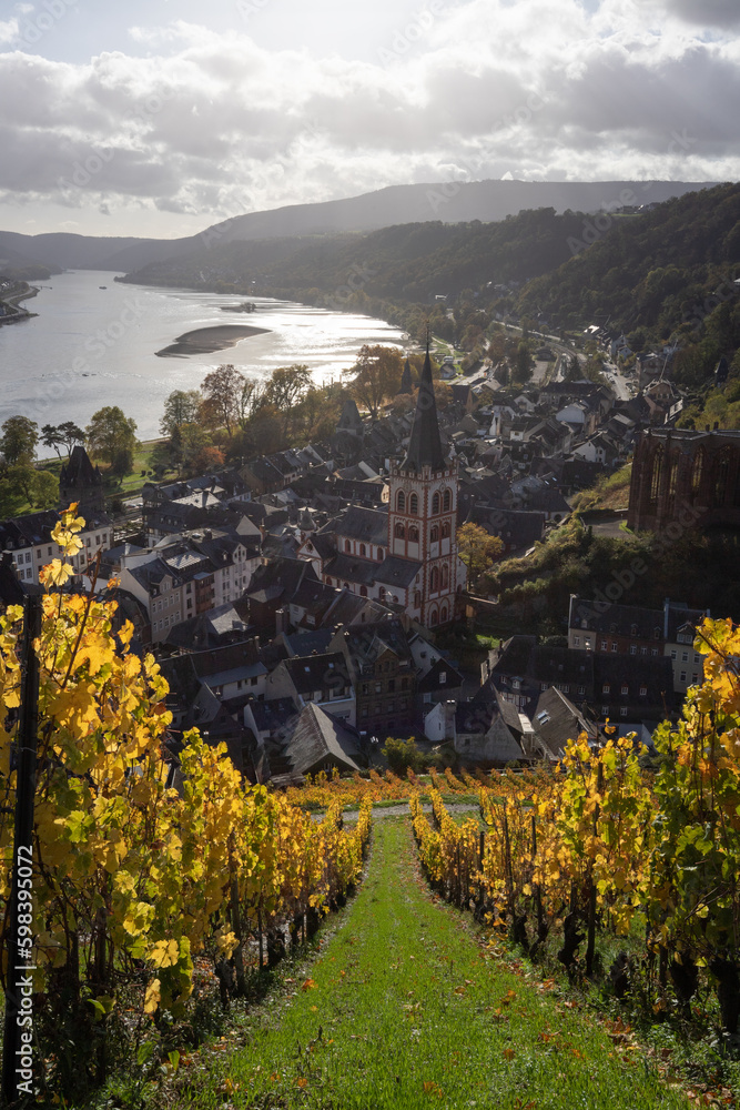 Bacharach antenna with panoramic view. Bacharach is a small town in the Rhine Valley in autumn in th