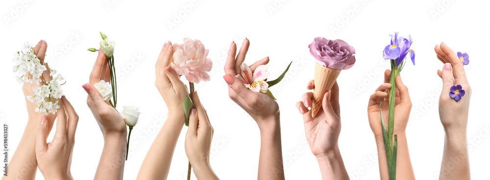 Set of hands with many beautiful flowers on white background