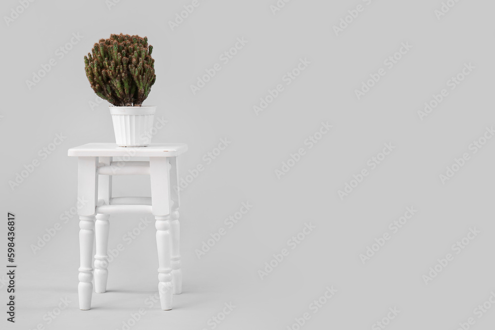 Stool with cacti in pot on grey background