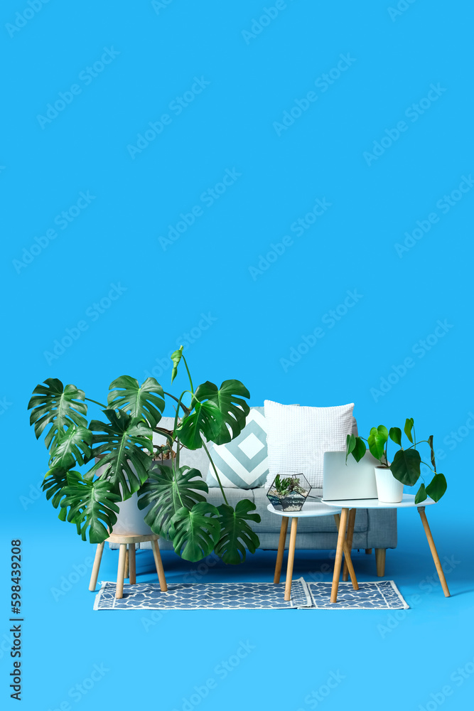 Tables with houseplants, laptop and sofa on blue background