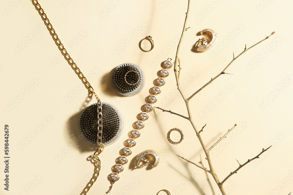 Ikebana kenzans with jewelry and tree branch on beige background