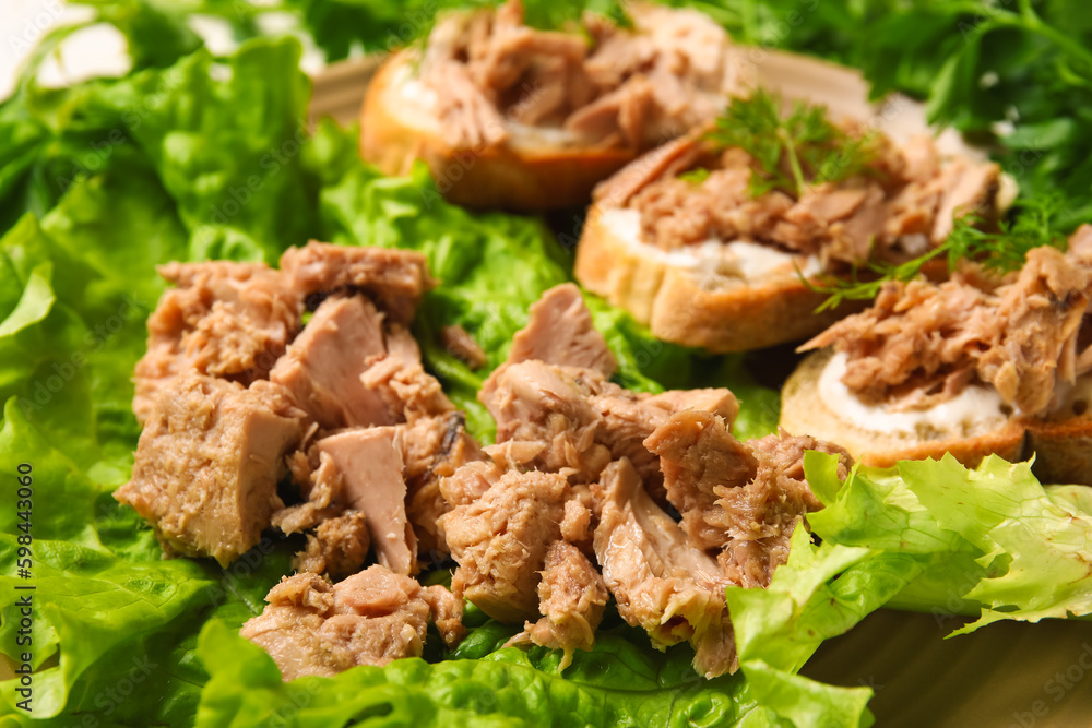 Plate with delicious canned tuna and fresh herbs, closeup