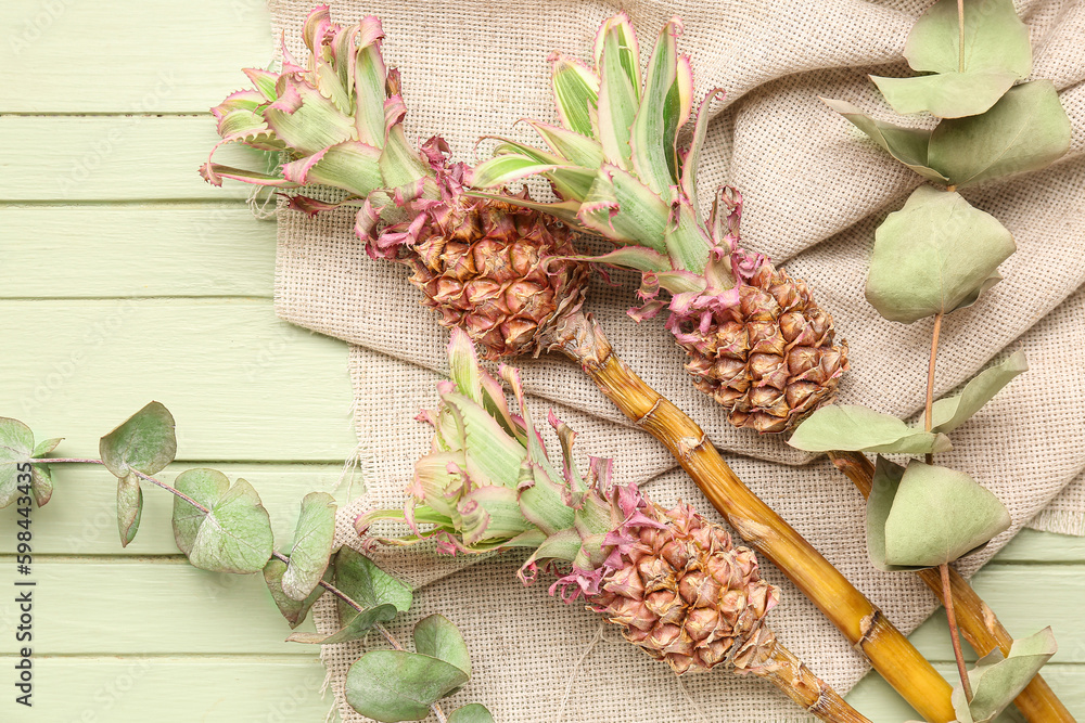 Decorative pineapples with eucalyptus branches on green wooden background