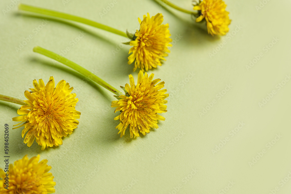 Dandelions on light green background, closeup