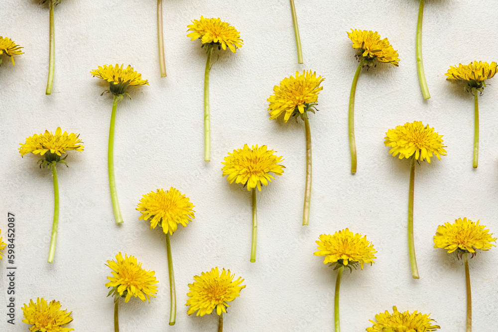 Bright yellow dandelions on white background