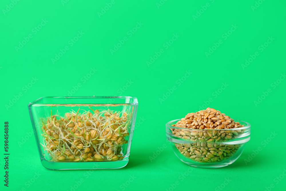 Bowls with sprouted wheat on green background