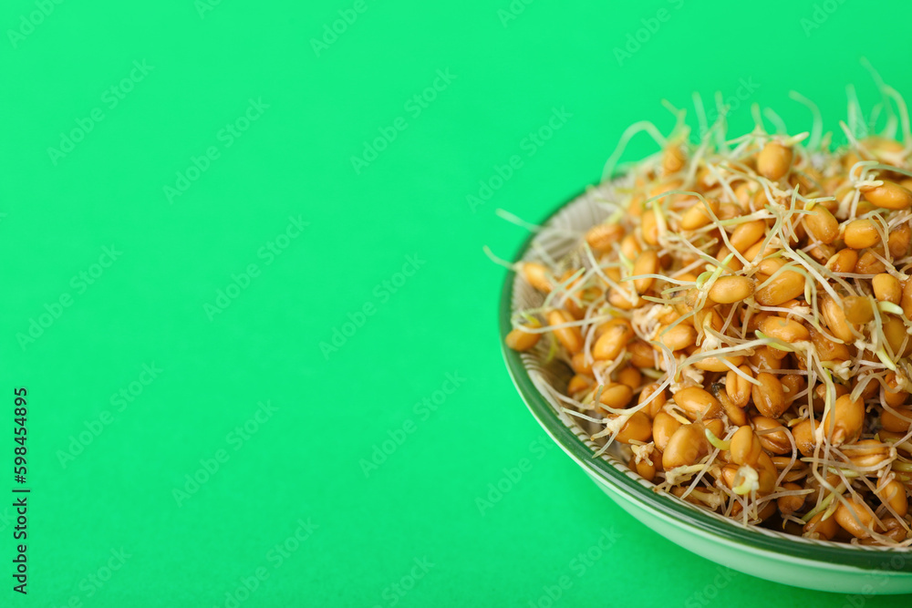 Bowl with sprouted wheat on green background