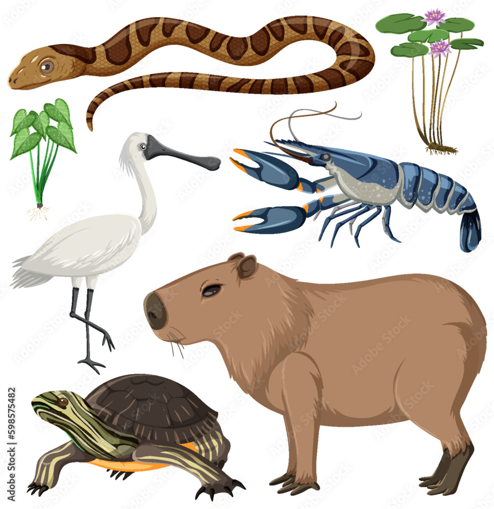 Various Wetland Animals Collection