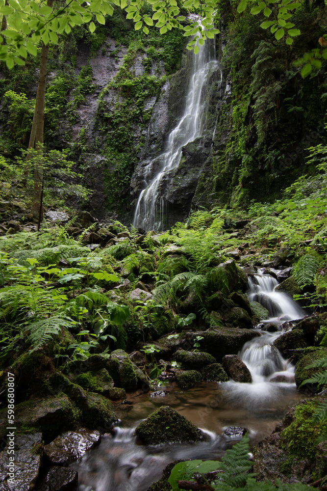 The Burgbach Waterfall in the coniferous forest falls over granite rocks into the valley near Bad Ri