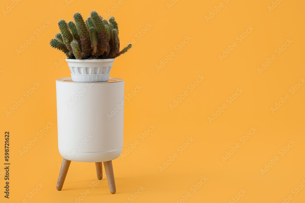 Stool with cacti on pot on yellow background