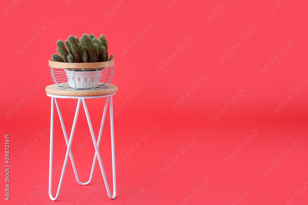 Stool with cacti in pot on red background