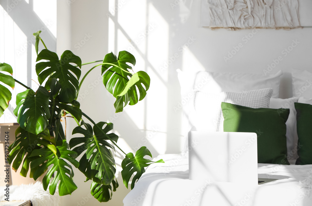 Interior of light bedroom with Monstera houseplant and bed