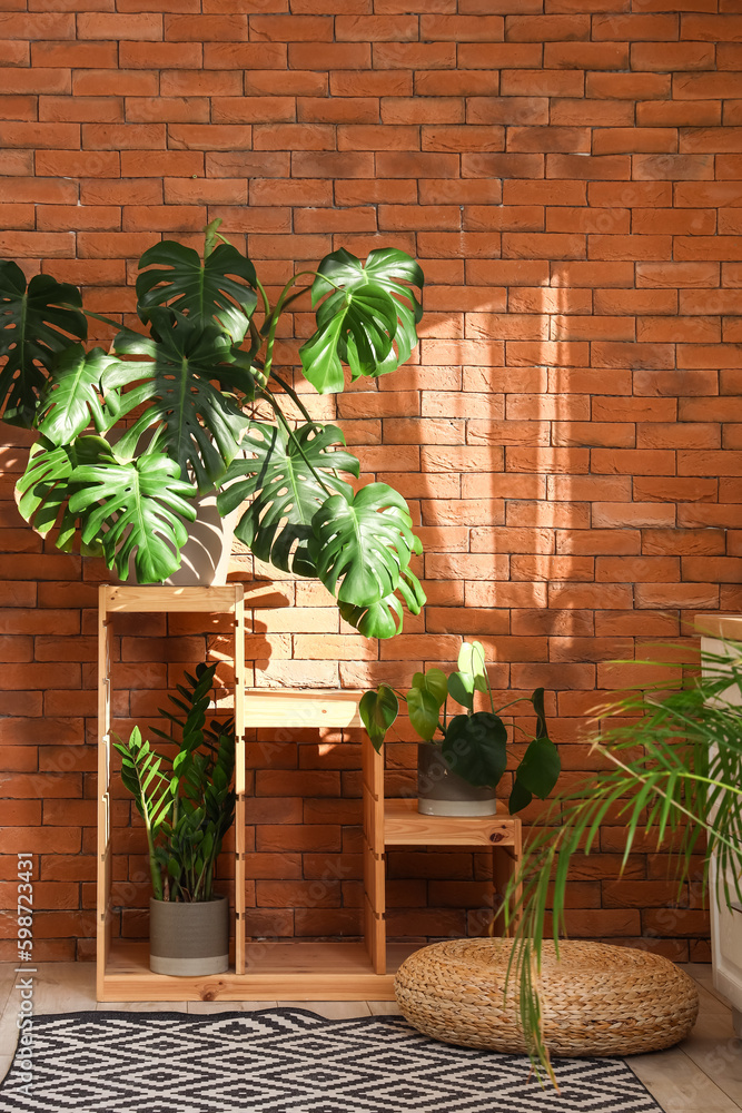 Interior of bathroom with shelf and Monstera houseplant