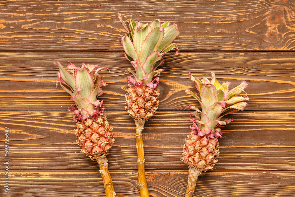 Decorative pineapples on wooden background