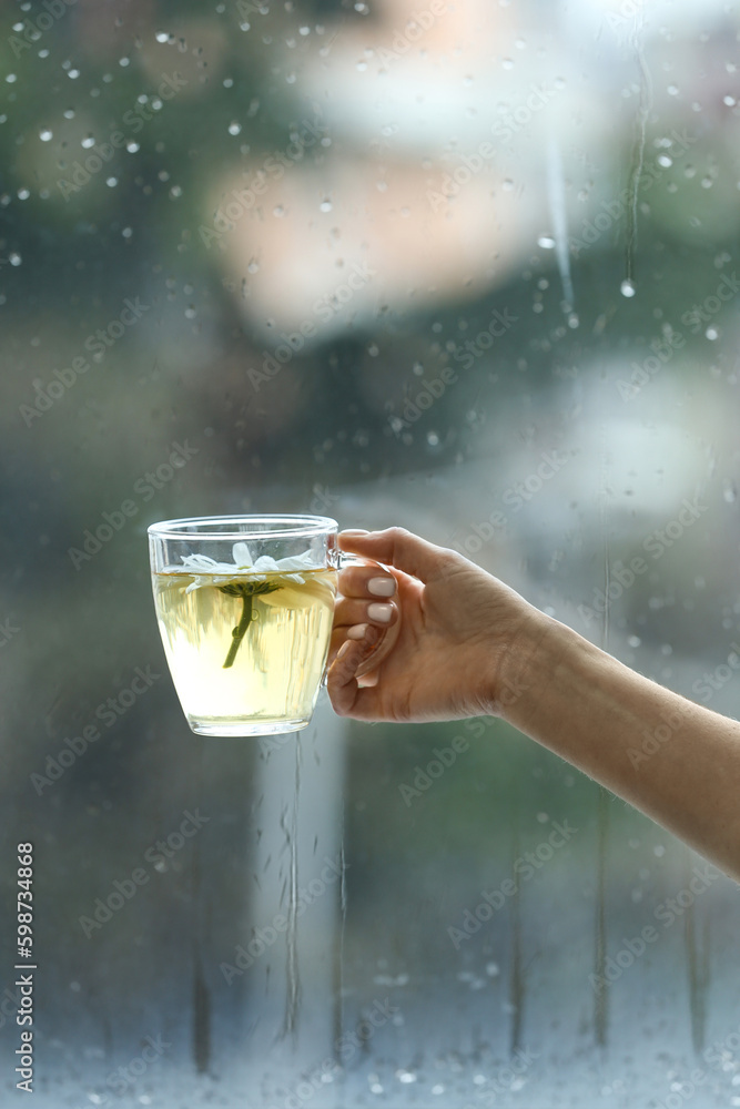 Female hand with cup of floral tea against window