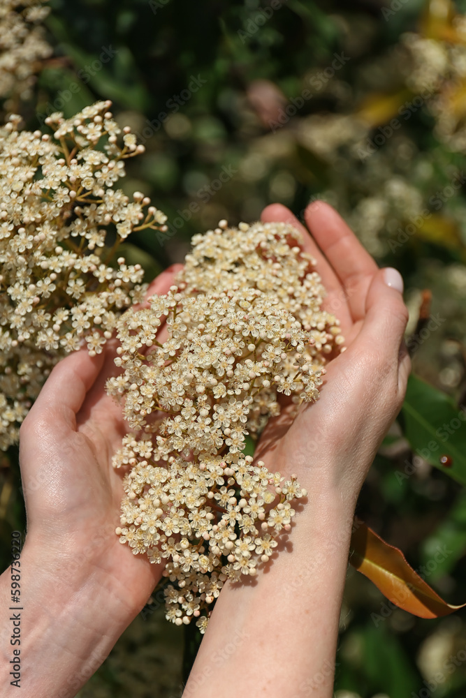 Woman with blooming white flowers outdoors, closeup