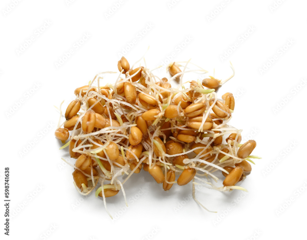 Heap of sprouted wheat on white background