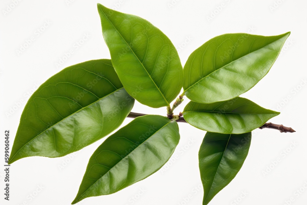 fresh red raspberry with green leaves isolated on a white background Generative AI