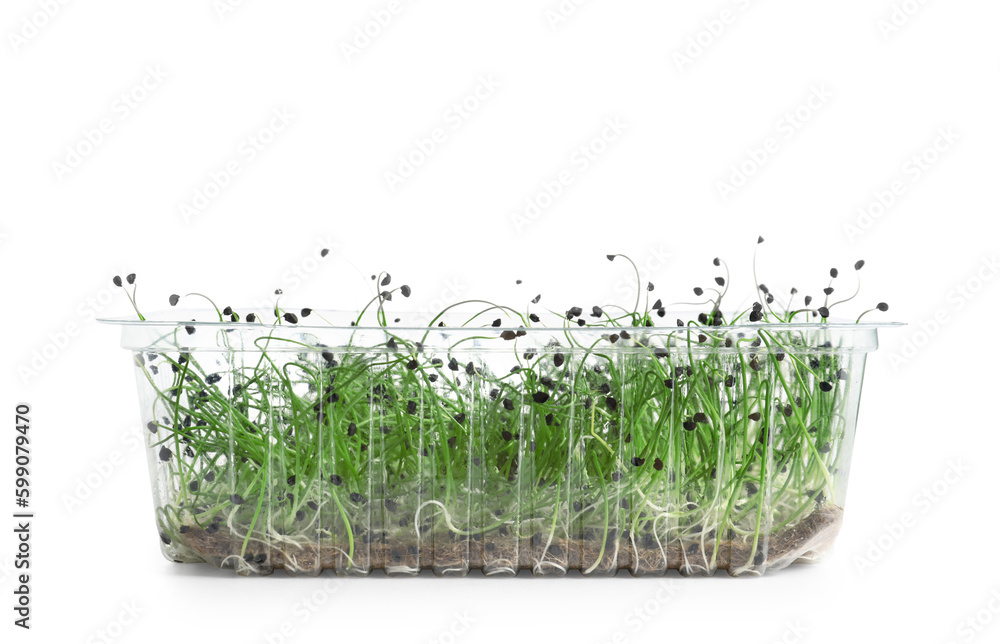 Plastic container with fresh micro green on white background