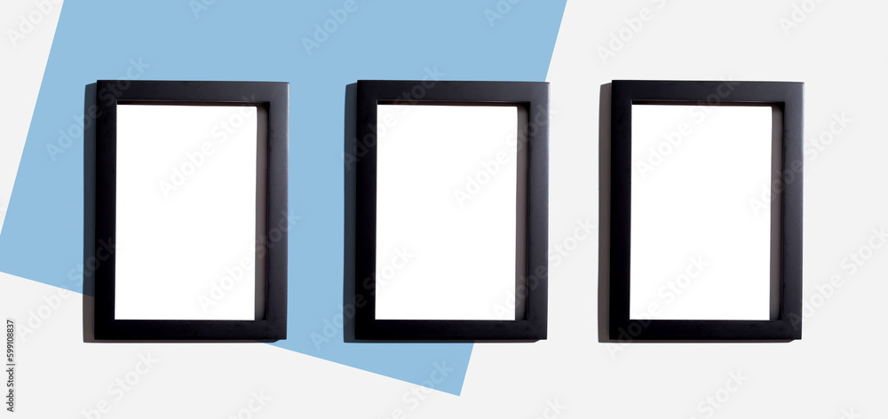 Blank rectangle picture frames