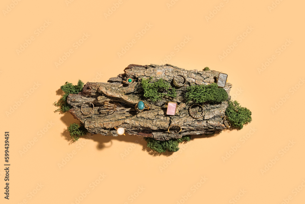 Tree bark with stylish rings and moss on beige background