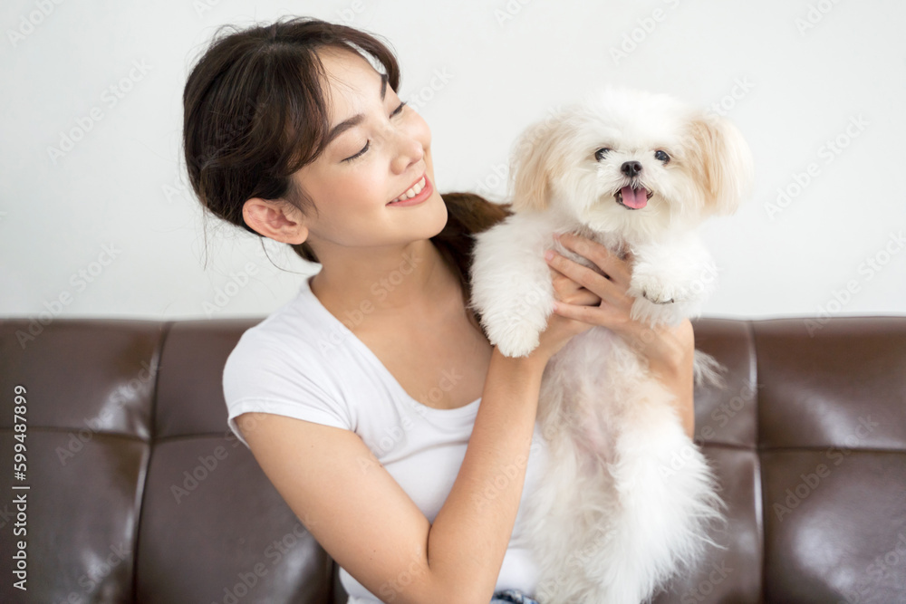 Young Asian smiling woman with her dog chihuahua at home.