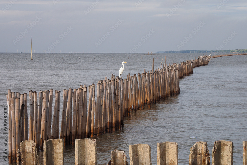  the Bay of Bangkok belonging to Samut Prakan, Thailand.